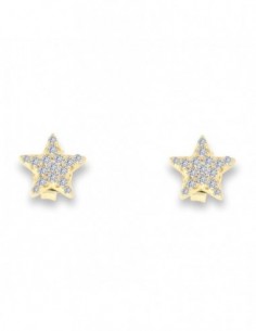 Orecchini Argento Dorato Stella Zirconi Bianchi [8fd8fd0d]