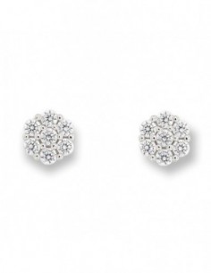 Orecchini Argento Rodiato Fiore Zirconi Bianchi [7edddc7e]