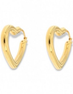 Orecchini Argento Dorato Cuore [231e8397]