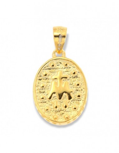 Ciondolo Argento Dorato Madonna Miracolosa Zirconi 1,5GR [1ad84640]