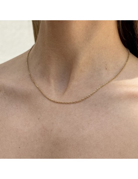 Collana Acciaio Dorato Rollina [e07c4f5c]