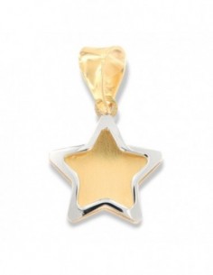 Ciondolo Oro Giallo Stella Bordi Oro Bianco [bc26db11]