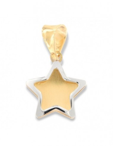 Ciondolo Oro Giallo Stella Bordi Oro Bianco [bc26db11]