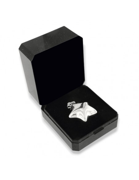Ciondolo Argento Stella Grande Liscia 3D Bombata [2d0147c8]