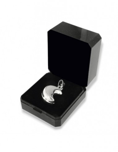 Ciondolo Argento Luna 3D Grande [965b3e8c]