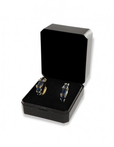 Orecchini Argento Dorato Cerchi Zirconi Blu [63beba66]