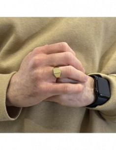 Anello Oro Giallo Chevalier Scudo Satinato Rettangolare [ee276a2b] 2