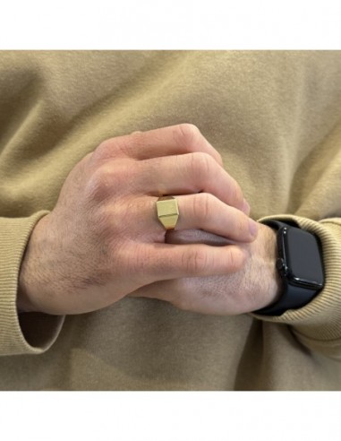 Anello Oro Giallo Chevalier Scudo Satinato Rettangolare [ed3da9b2]